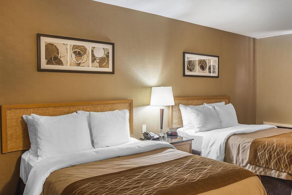 Comfort Inn Sydney Luaran gambar