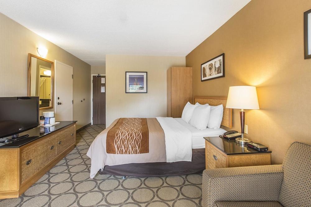 Comfort Inn Sydney Luaran gambar